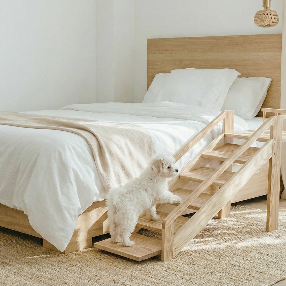 A DAY OF REPEATED STEPS